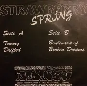 7inch Vinyl Single - Strawberry Springs - Strawberry Spring