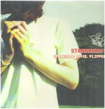 Strawberry - Spaceship Of 13. Flipper