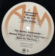 LP - Strawbs - Nomadness