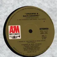 Strawbs & Dave Cousins - Strawbs & Dave Cousins