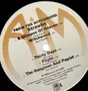 LP - Strawbs - From The Witchwood