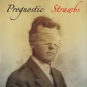 The Strawbs - Prognostic