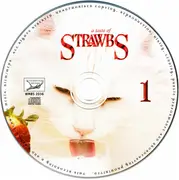 CD-Box - Strawbs - A Taste Of Strawbs - Longbox + Booklet + Slipcase