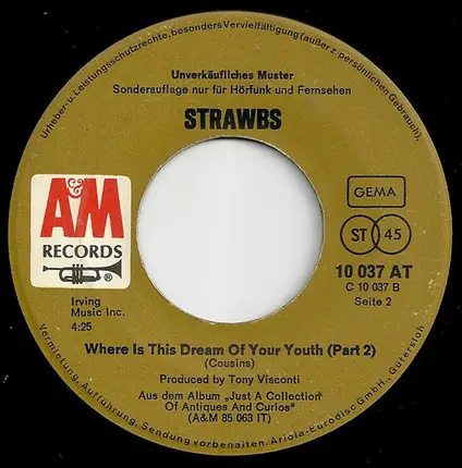 Strawbs - Where Is This Dream Of Your Youth