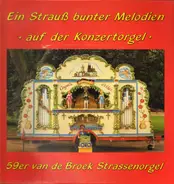 Strauß - Ein Strauß bunter Melodien