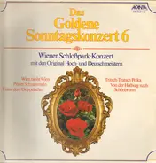 Strauss / Ziehrer / Schrammel a.o. - Wiener Schloßpark-Konzert