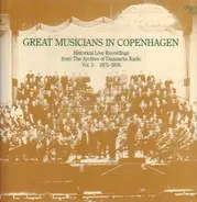 Stravinsky / Dvorak / Nielsen / a.o. - Great Musicians in Copenhagen