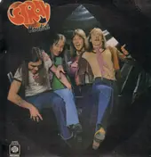 Stray - Houdini