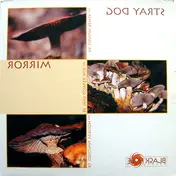 Stray Dog - Mirror