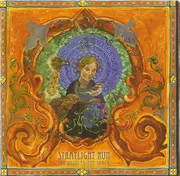 CD - Straylight Run - The Needles The Space