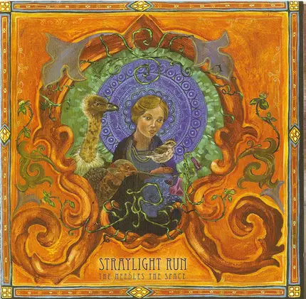 Straylight Run - The Needles the Space