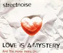 CD Single - Streetnoise feat. Rebecca - Love Is A Mystery