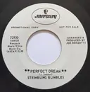 7inch Vinyl Single - Strimbling Blimbles - Perfect Dream