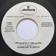 Strimbling Blimbles - Perfect Dream