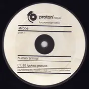 Strobe - Human Animal