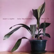 Stuart A. Staples - Lucky Dog Recordings 03/04