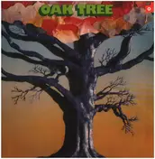 Studiker - Oak Tree