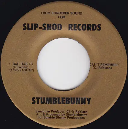 Stumblebunny - The Possibilities Are Endless