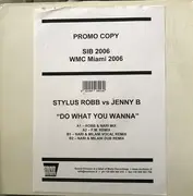 12inch Vinyl Single - Stylus Robb Vs Jenny B. - Do What You Wanna