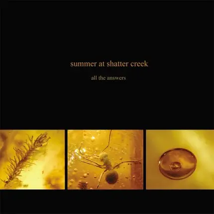 Summer At Shatter Creek - All The Answers