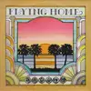 LP - Summer - Flying Home