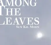 Sun Kil Moon - Among the Leaves
