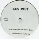 12inch Vinyl Single - Suntrust - Sampler Promo