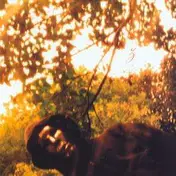 The Sunburned Hand of the Man - Z