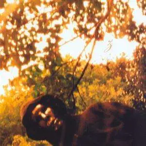 Sunburned Hand Of The Man - Z