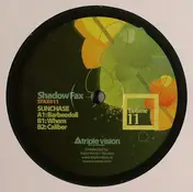 Sunchase - Volume 11