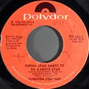 7inch Vinyl Single - Sundown Company - Norma Jean Wants To Be A Movie Star