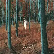 Sunflower Bean - I Hear Voices/The..