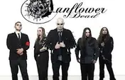 Sunflower Dead - Sunflower Dead