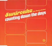 CD Single - Sunfreakz, Andrea Britton - Counting Down The Days