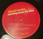 12inch Vinyl Single - Sunfreakz Feat. Andrea Britton - Counting Down The Days