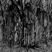 CD - Sunn O))) - Black One
