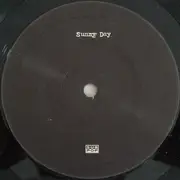 LP - Sunny Day Real Estate - Diary - Black Vinyl