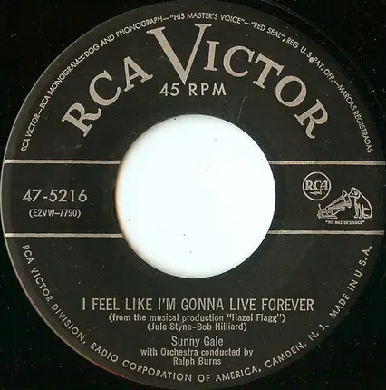 Sunny Gale - How Could You