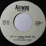 Sunnyland Slim - Got A Thing Going On