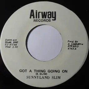 Sunnyland Slim - Got A Thing Going On