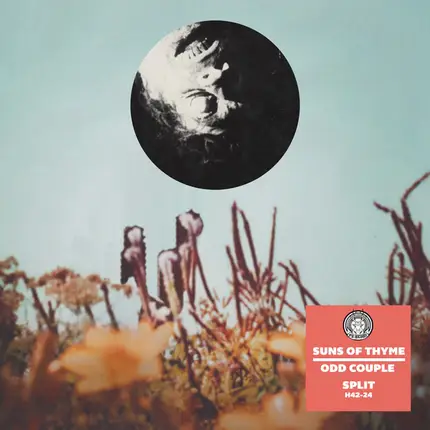 Suns Of Thyme , Odd Couple - Split