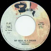 7inch Vinyl Single - Sunseed - My Soul Is A Dream