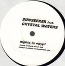 12inch Vinyl Single - Sunseeker - Nights In Egypt - Promo + Feedback Sheet