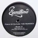 12inch Vinyl Single - Sunshine Anderson - Force Of Nature: The Remixes