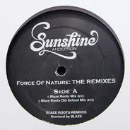 Sunshine Anderson - Force Of Nature