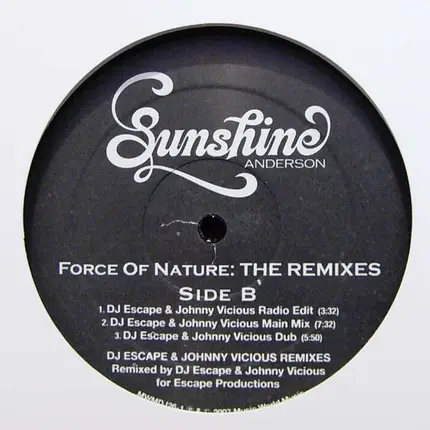 Sunshine Anderson - Force Of Nature