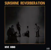 LP - Sunshine Reverberation - Hive Mind - Black Vinyl