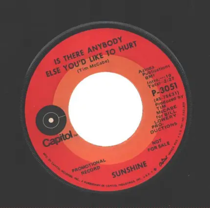 Sunshine - I Just Can't Help But Love You / Is There Anybody Else You'd Like To Hurt