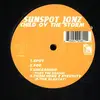 Double LP - sunspot jonz - child of the storm