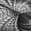 CD - Subterranean - Echologist